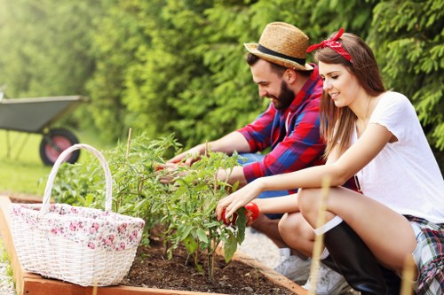Beautiful Hackbridge garden showcasing well-maintained lawns and vibrant plants