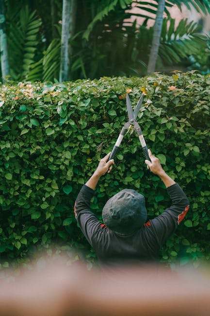 A person wearing headphones, a light green jacket, and black pants is using a leaf blower to clear fallen leaves from a well-maintained grassy area in a park. They are carrying a backpack-style blower