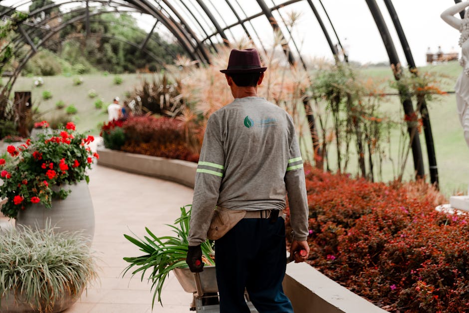 A gardener from [COMPANY_NAME] is seen from behind walking through a well-maintained greenhouse or conservatory with a curved glass roof supported by black metal frames. The gardener, wearing a gray l